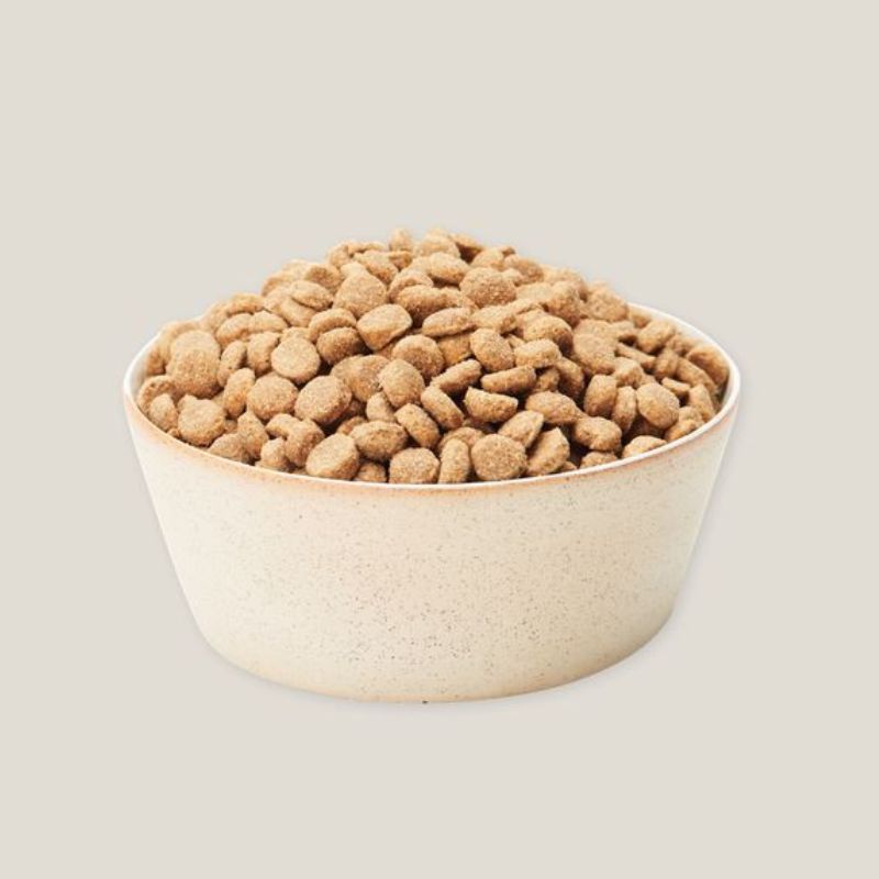 Best Affordable Dog Food