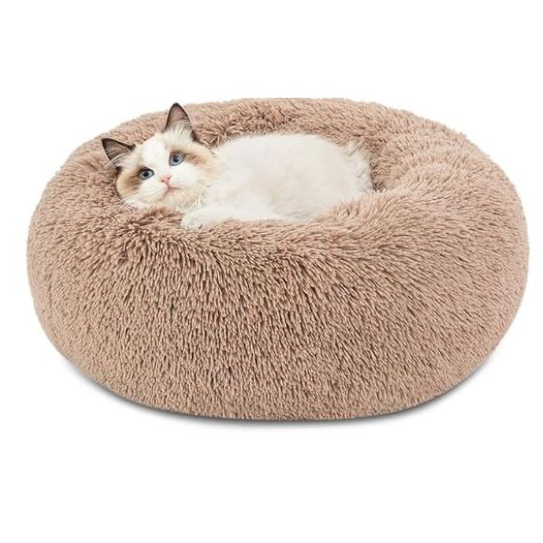 Best Bedding for Cats