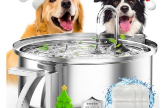 Best Dog Water Fountain