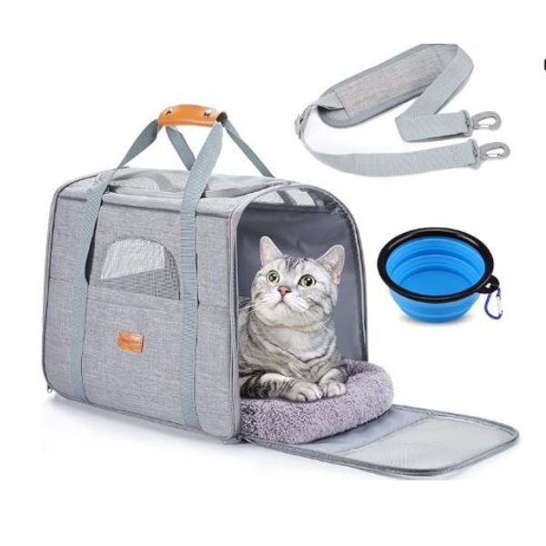 Best Pet Carrier for Cats