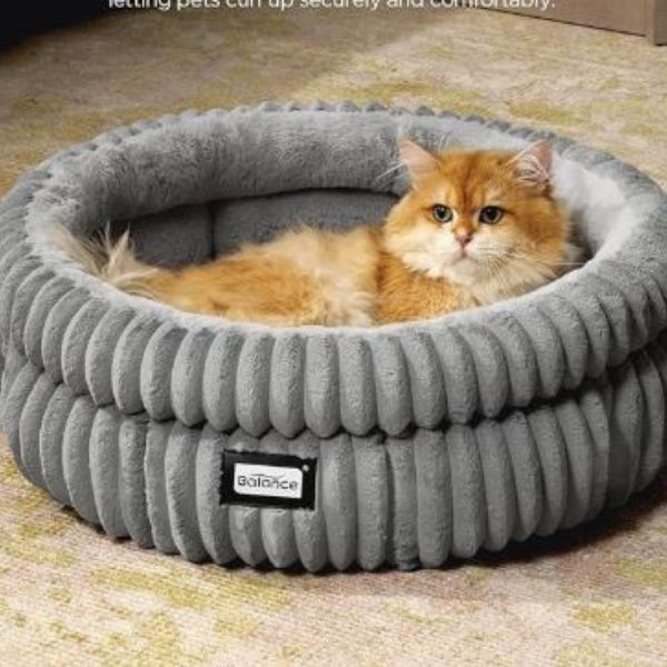 Best Rated Cat Beds