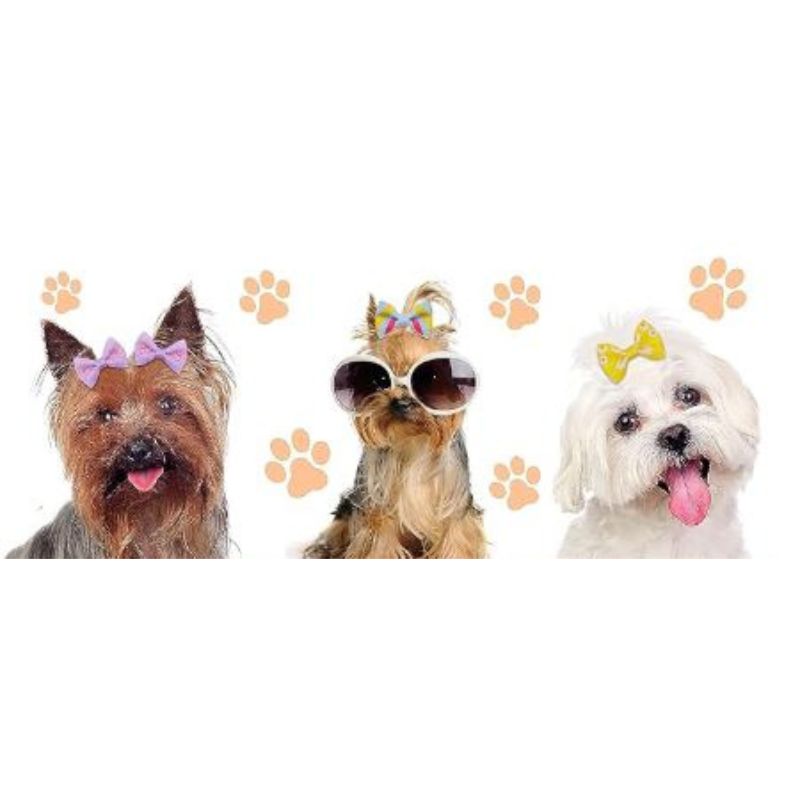 Bows for Dogs Hair