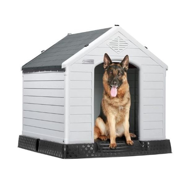 Dog Kennel With Dog House