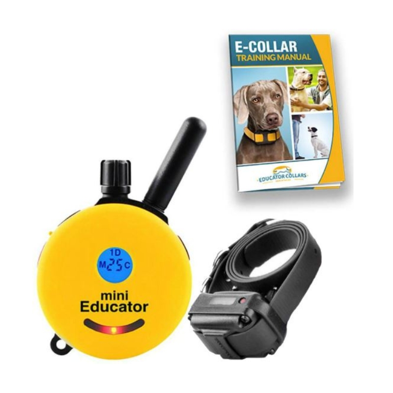 What is an E Collar for Dogs