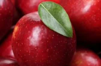Can Dogs Eat Apples