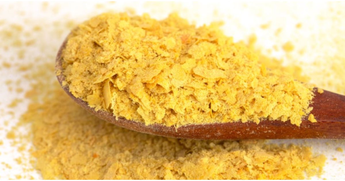 Can Dogs Eat Nutritional Yeast