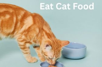 Can Humans Eat Cat Food