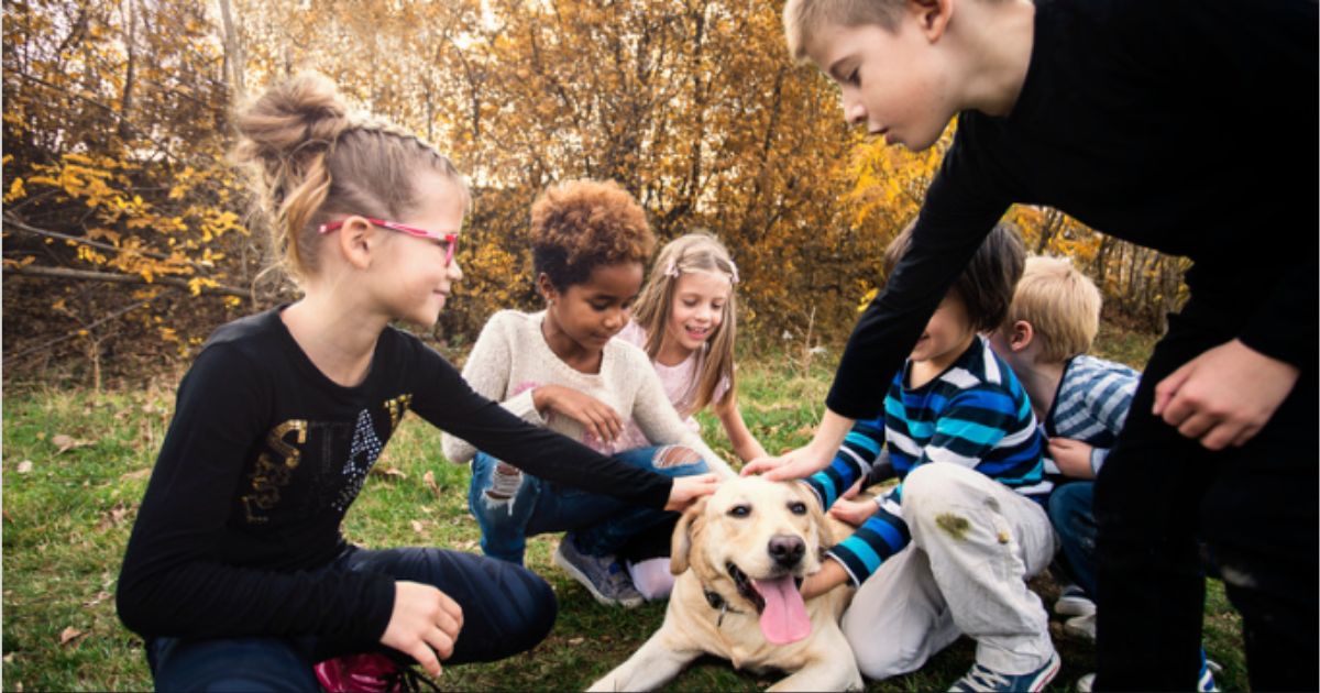 How Do We Show Our Pets Love