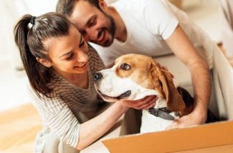 How Do We Show Our Pets Love