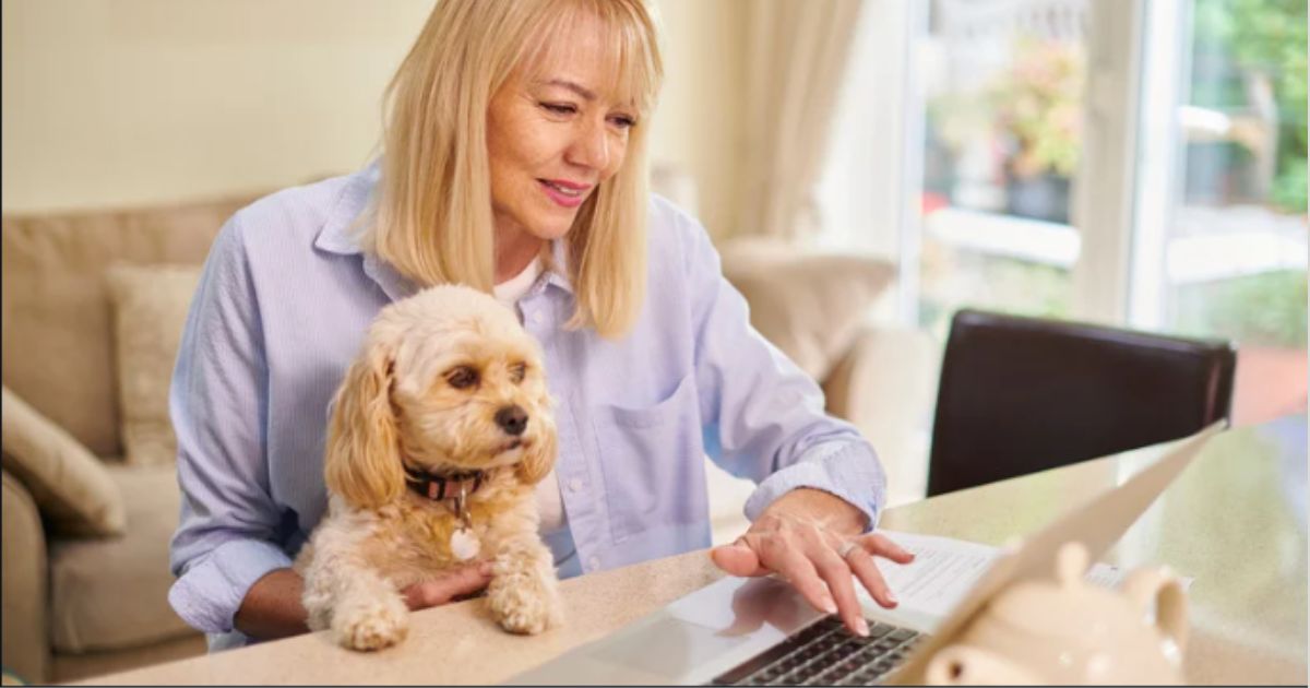 How Does Pet Insurance Work