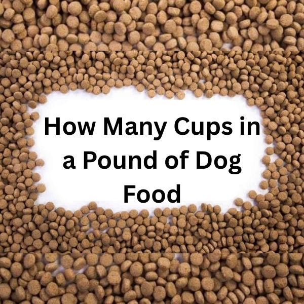 How Many Cups in a Pound of Dog Food