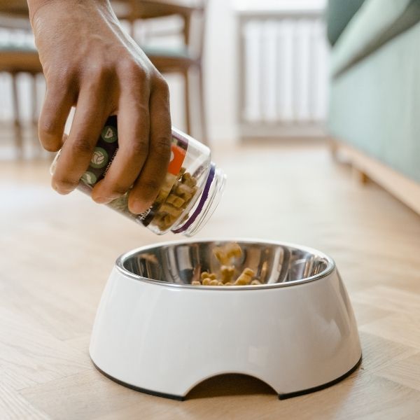 How Many Cups in a Pound of Dog Food