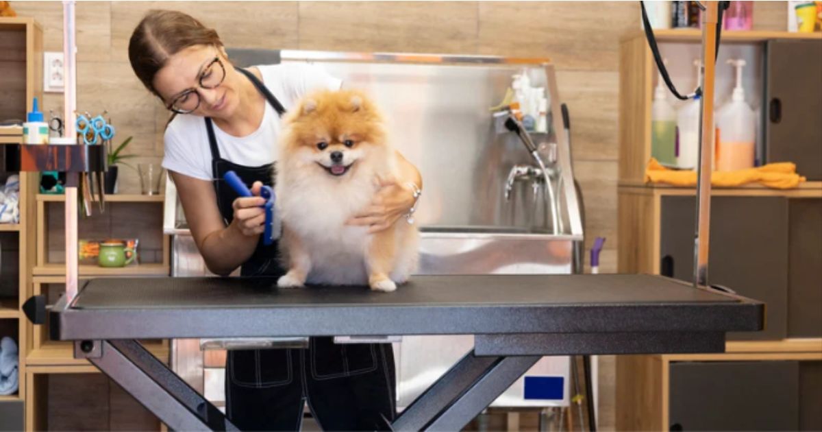How Much Do You Tip a Dog Groomer