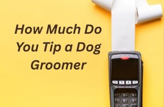 How Much Do You Tip a Dog Groomer