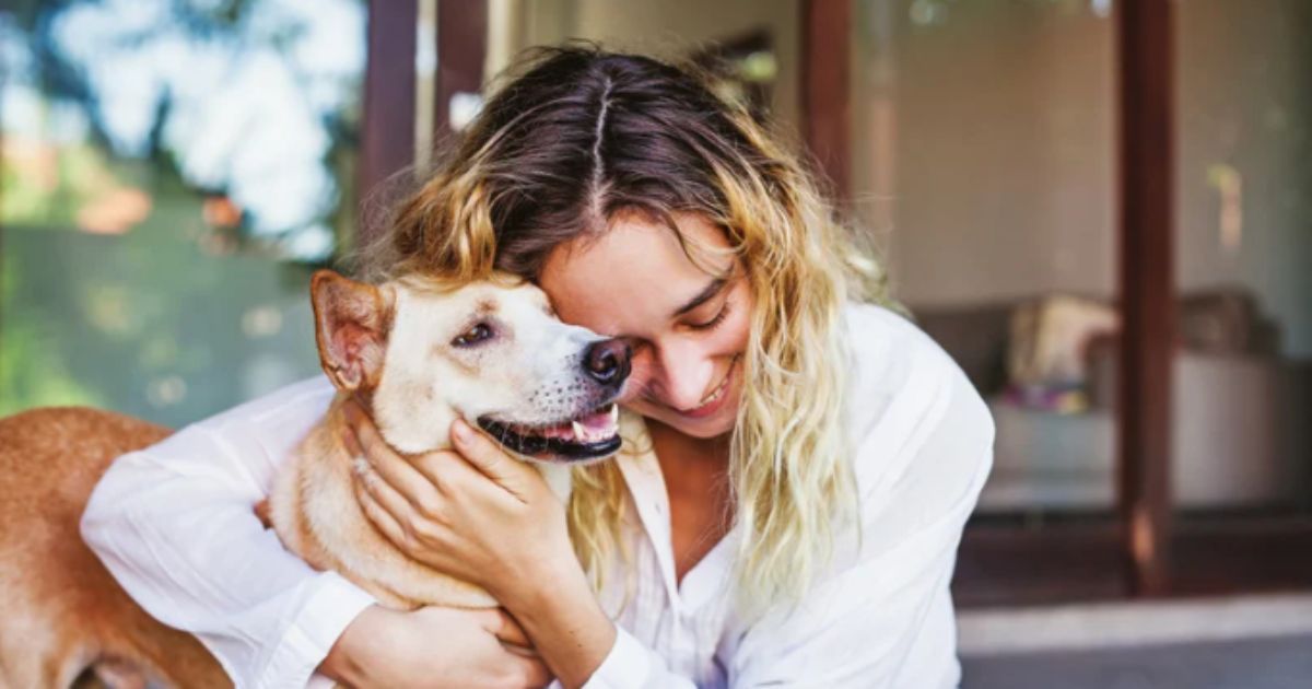 How Much Is Pet Insurance