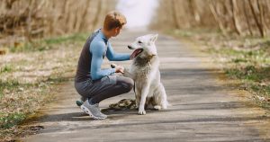 How to Create a Pet Care Schedule