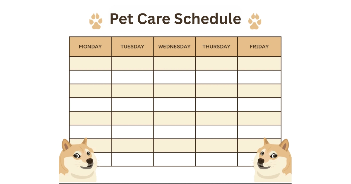 How to Create a Pet Care Schedule