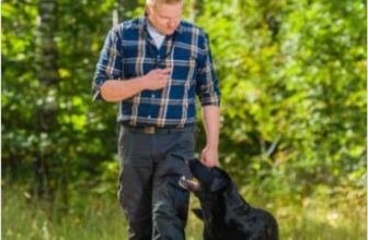 How to Train a Dog to Speak
