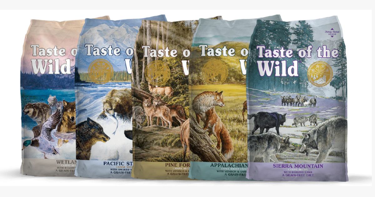 Is Taste of the Wild Good Dog Food