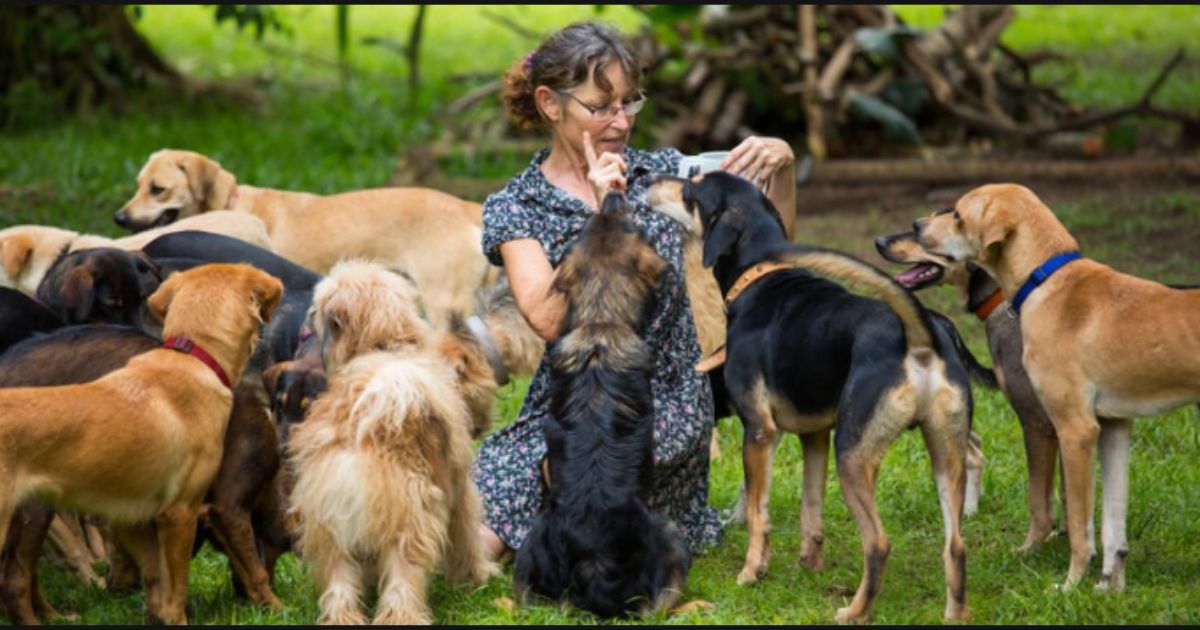 What Dog Breed Lives The Longest