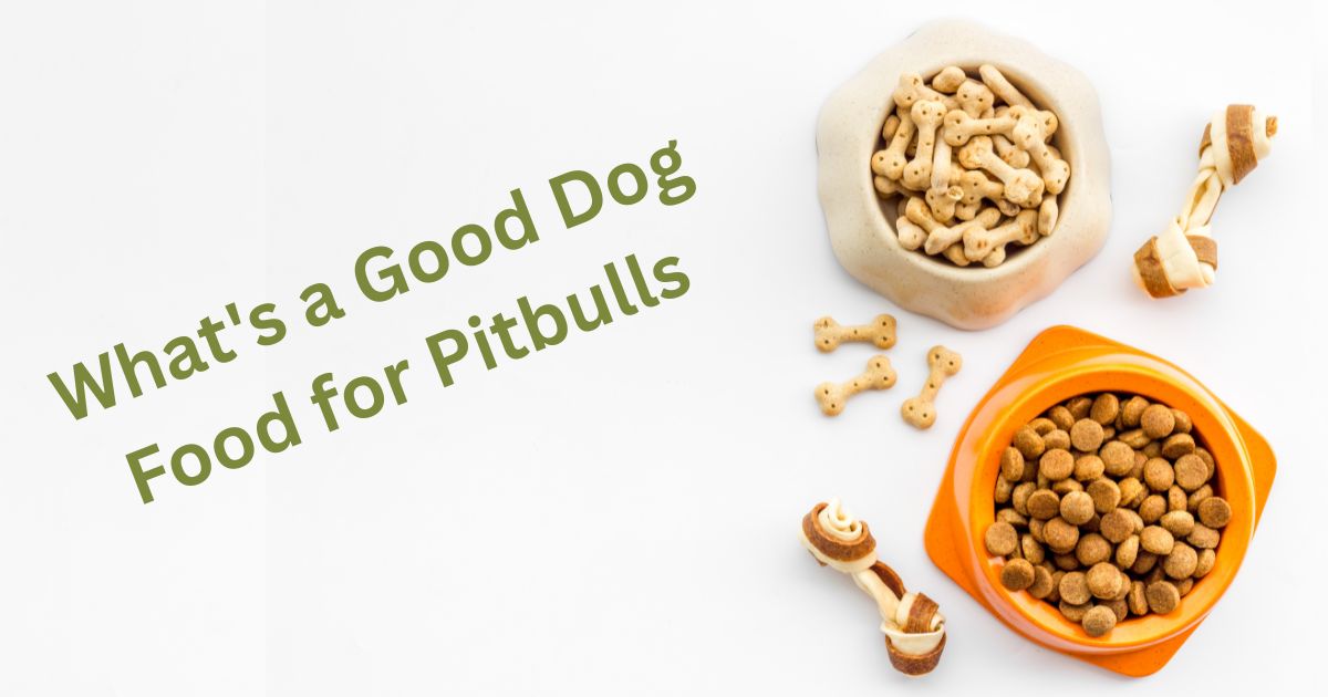 What's a Good Dog Food for Pitbulls
