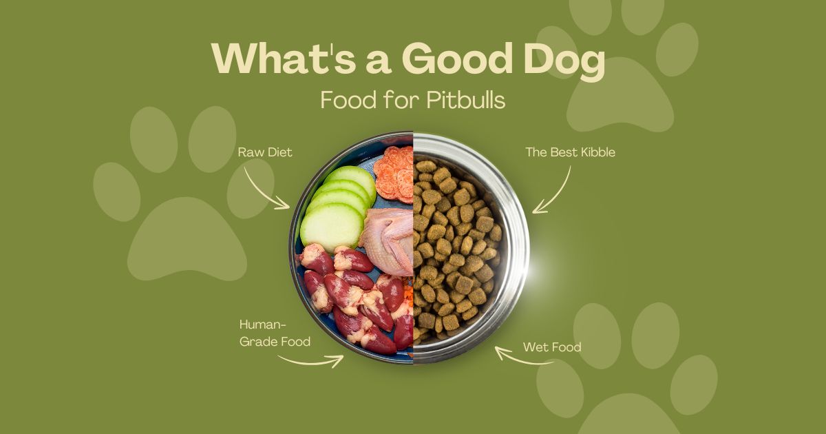 What's a Good Dog Food for Pitbulls
