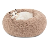 Best Bedding for Cats