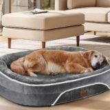 Best Dog Bed for Older Dogs