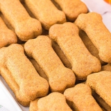 Best Dog Biscuits for Dogs