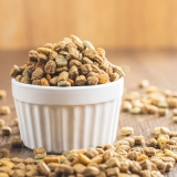Best Dry Dog Food for Senior Dogs