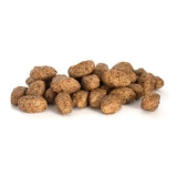 Best Large Breed Dry Dog Food