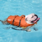 Best Life Vest for Dogs
