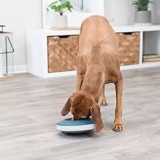 Best Slow Feed Dog Bowl