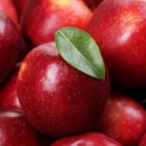 Can Dogs Eat Apples?