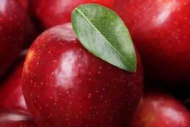 Can Dogs Eat Apples?