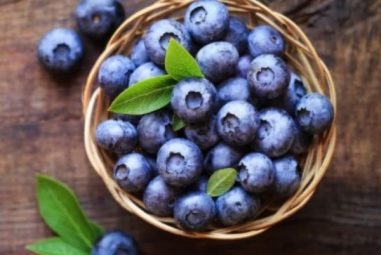 Can Dogs Eat Blueberries?