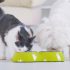 How to Create a Pet Care Schedule
