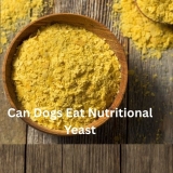 Can Dogs Eat Nutritional Yeast?