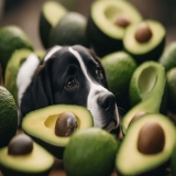 Can Dogs have Avocado?