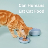Can Humans Eat Cat Food?