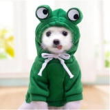 Dog Hoodie for Small Dogs