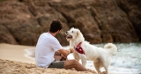 Easiest dog to Take Care of