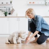 Good Joint Supplements for Dogs