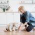 Best Dog Balls Review