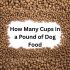 What Dog Breed Lives The Longest?