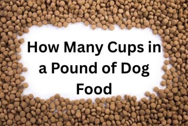 How Many Cups in a Pound of Dog Food?