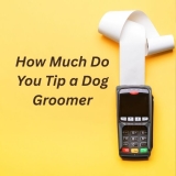 How Much Do You Tip a Dog Groomer?