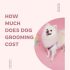 How Much Do You Tip a Dog Groomer?