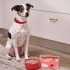Small Puppy Carrier Bags