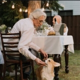 How much Food should I feed my Dog